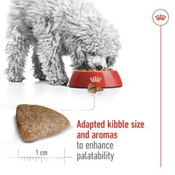 Royal Canin Mini Indoor Adult