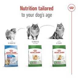 Royal Canin Mini Indoor Adult