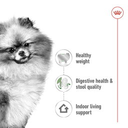 Royal Canin Mini Indoor Adult