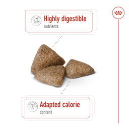 Royal Canin Mini Indoor Adult