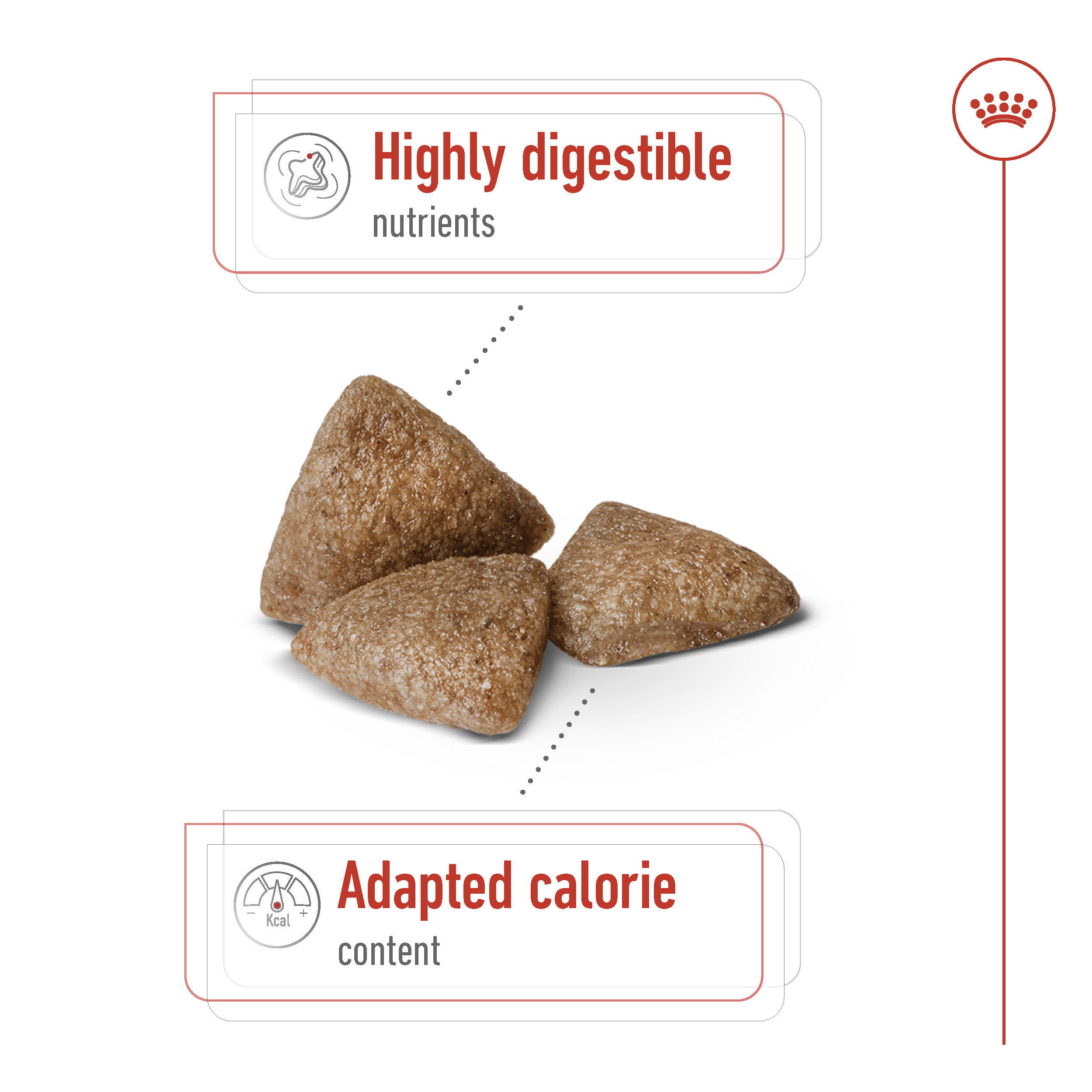 Royal Canin Mini Indoor Adult_3