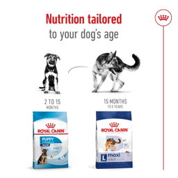 Royal Canin Maxi Adult