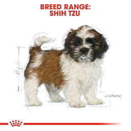 Royal Canin Shih Tzu Puppy 