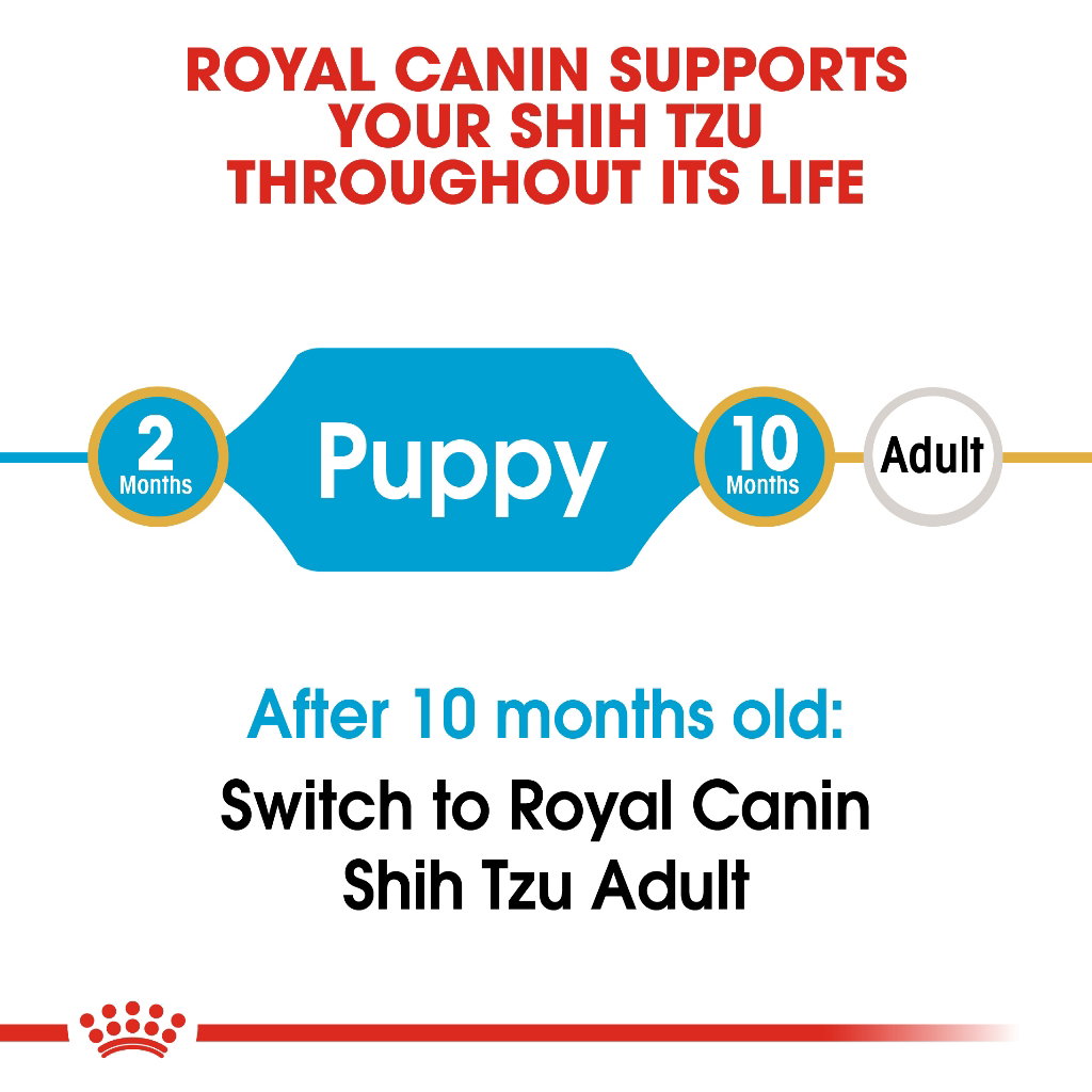 Royal Canin Shih Tzu Puppy _4