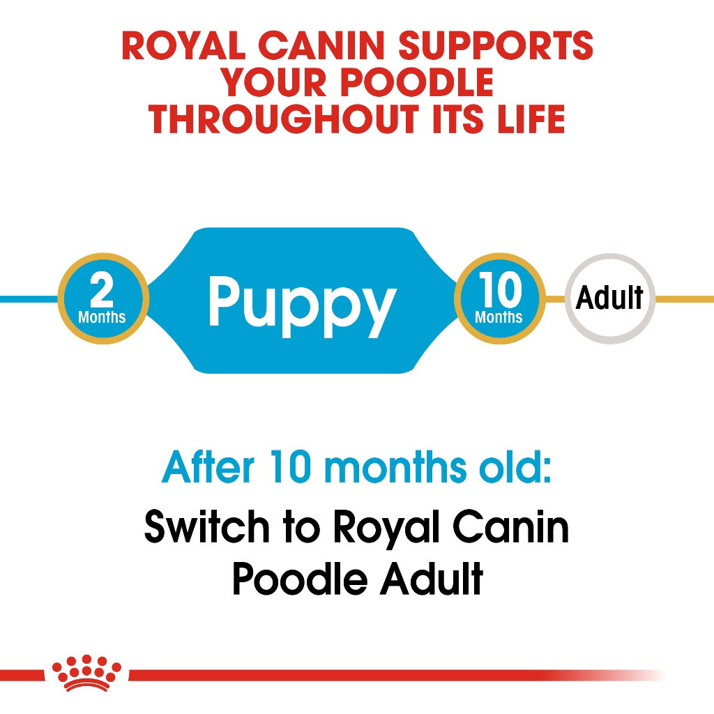 Royal Canin Poodle Puppy_4