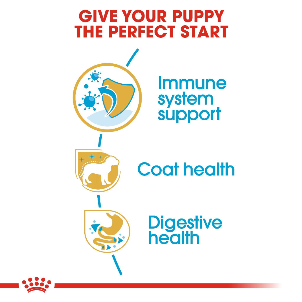 Royal Canin Poodle Puppy_3