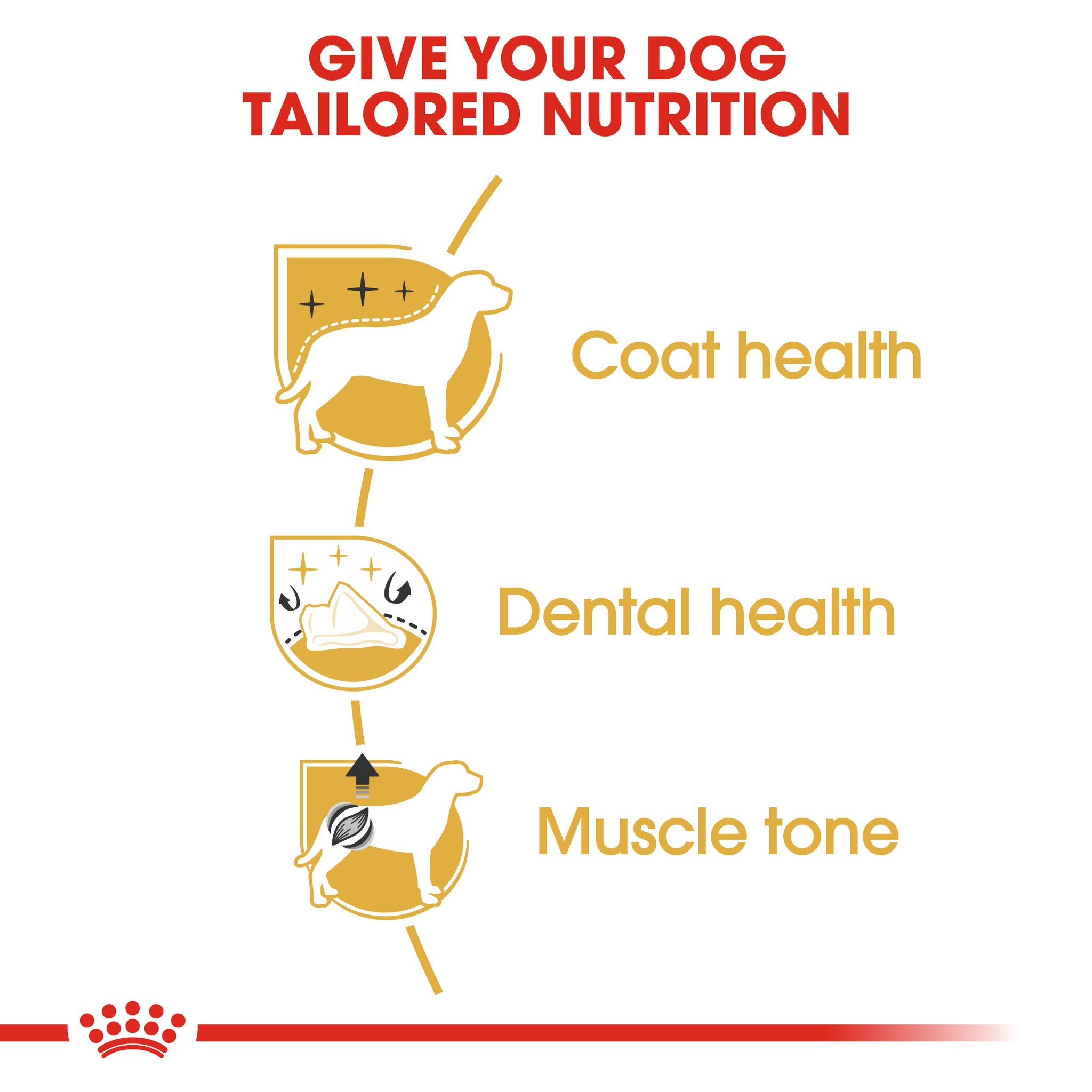 Royal Canin Poodle Adult_3