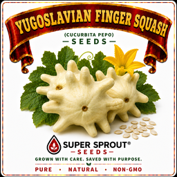 HUNGARIAN FINGERS SQUASH x 5 seeds