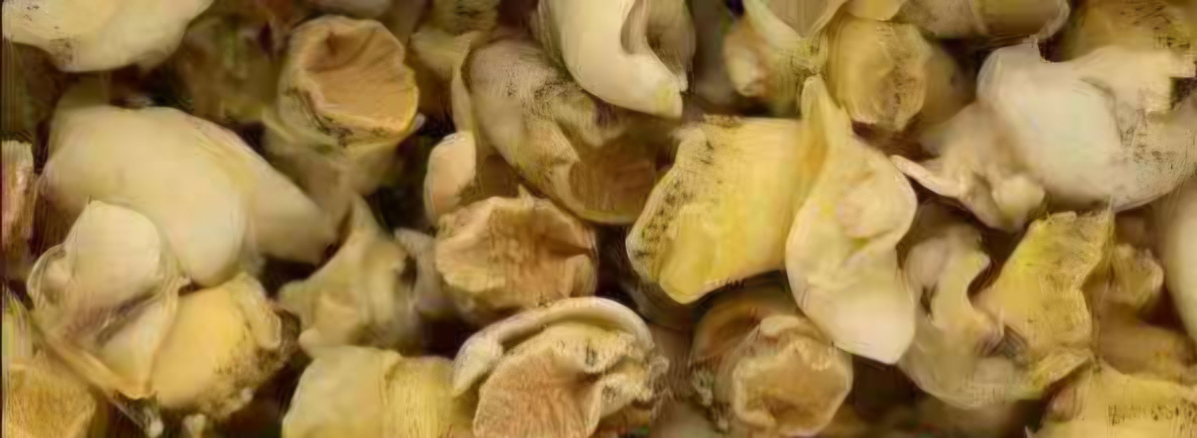海螺肉