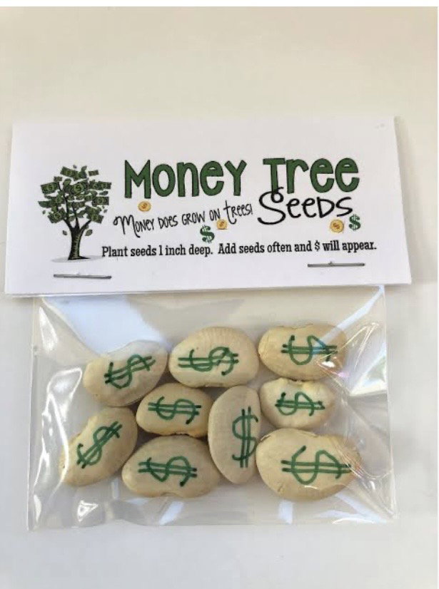 Money tree seed 