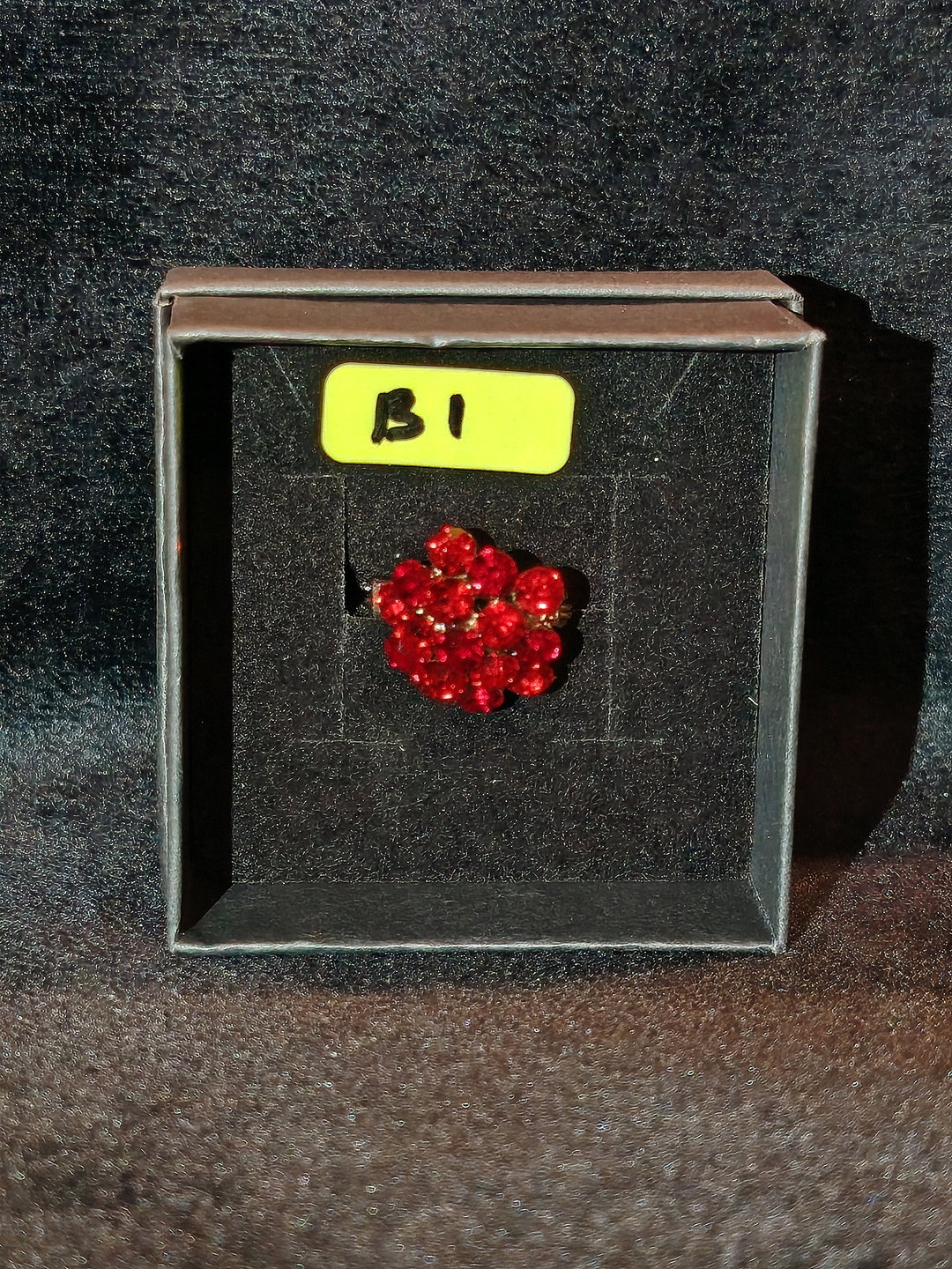 PIN B1
