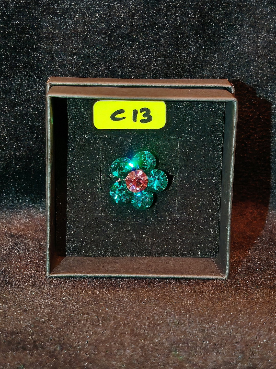 PIN C13