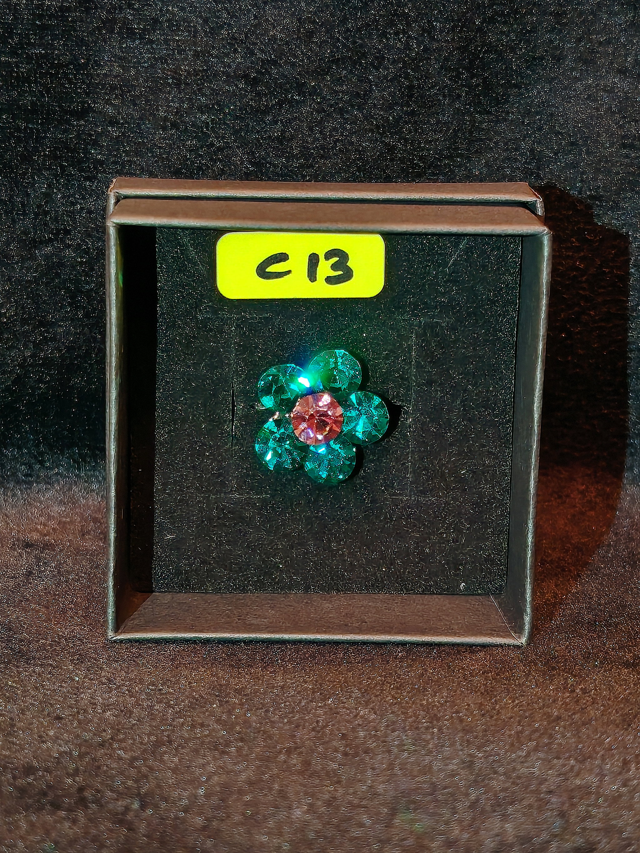 PIN C13_0