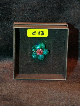 PIN C13