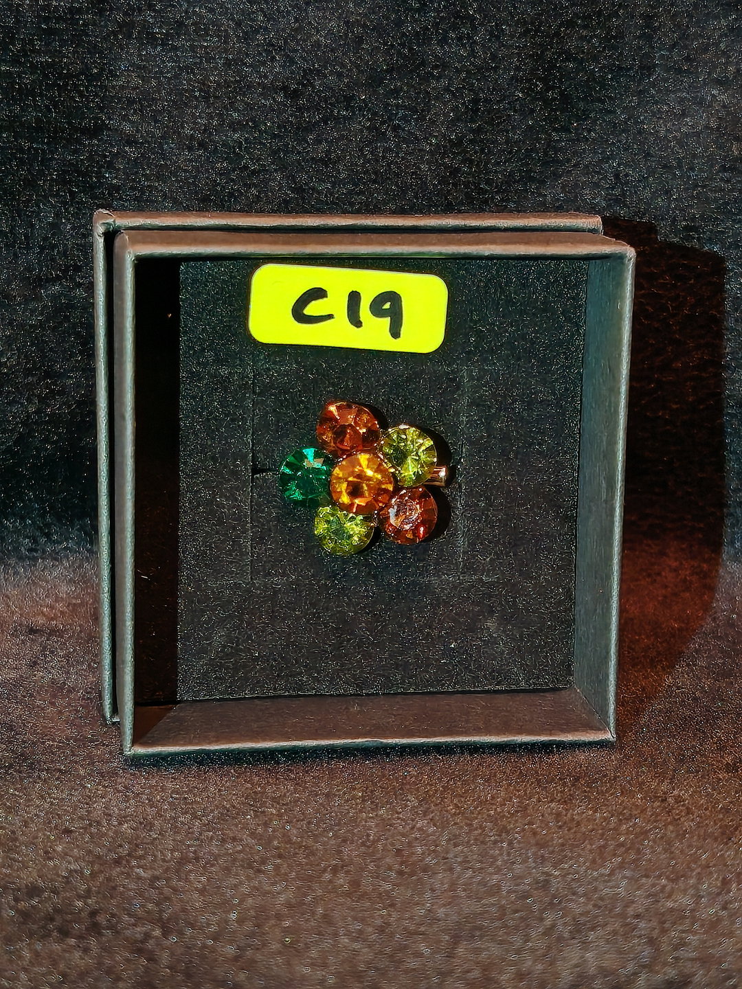 PIN C19