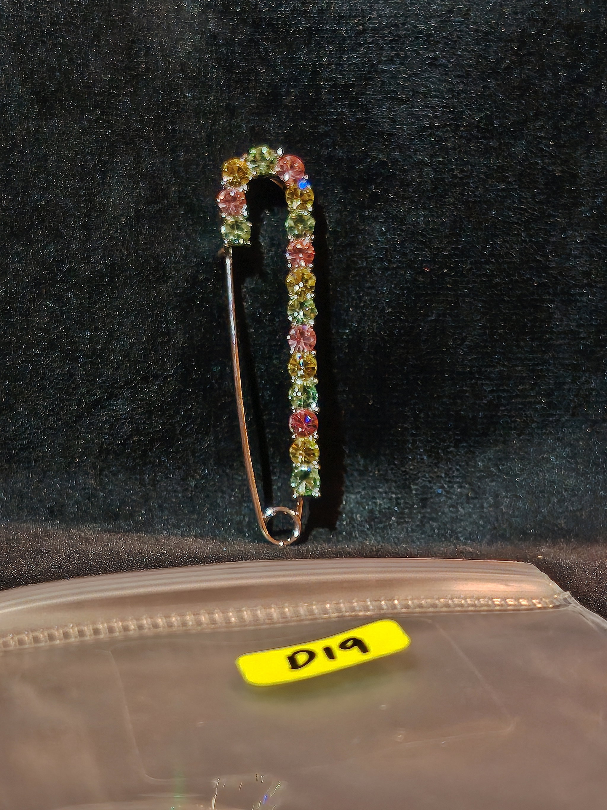 PIN D19_0