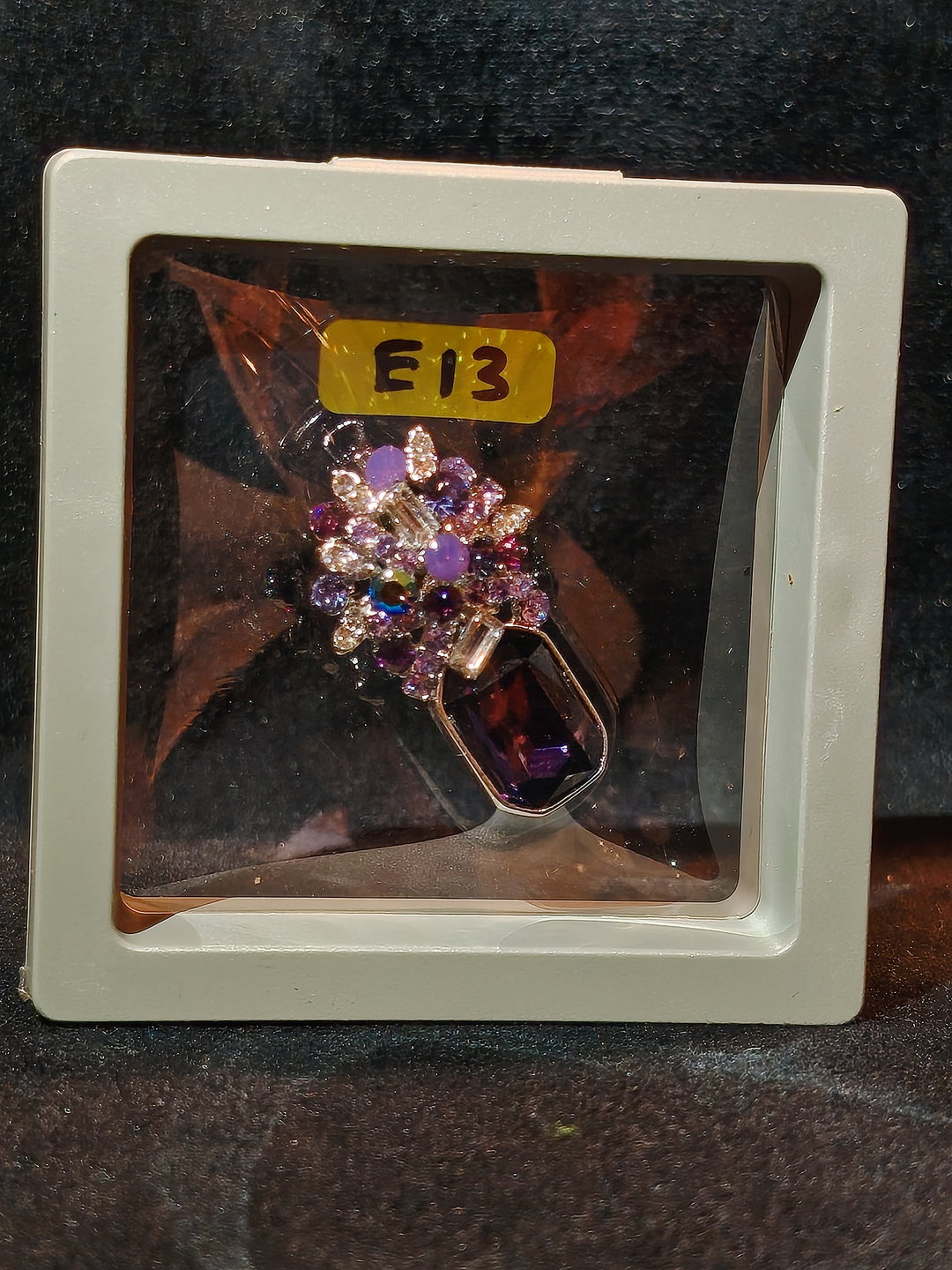 PIN E13