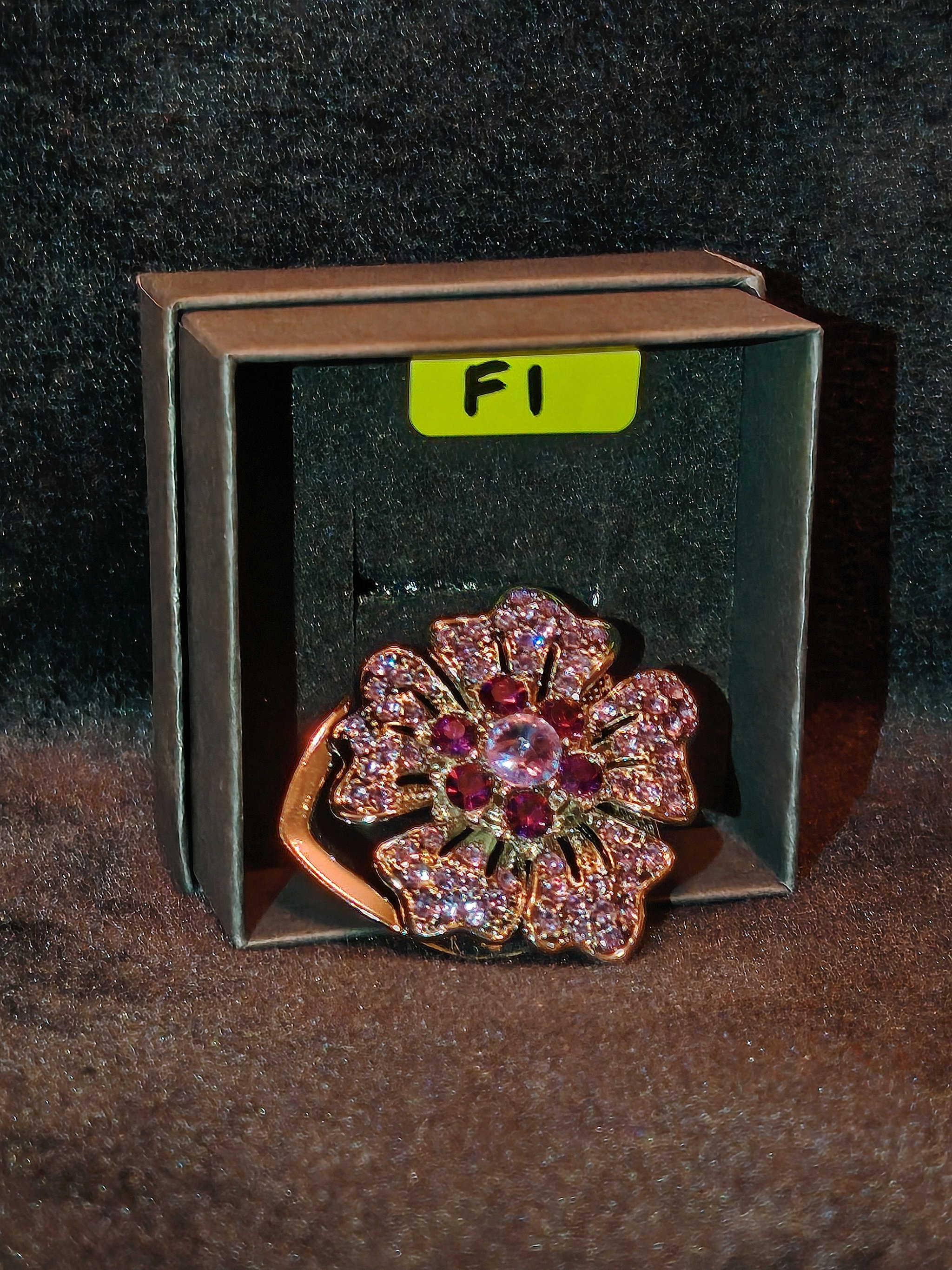 PIN F1_0