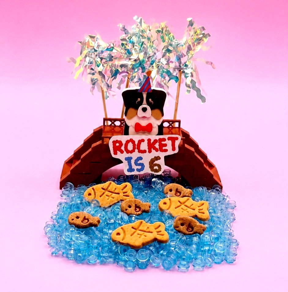🚀Rocket's Fishy Biz🐟