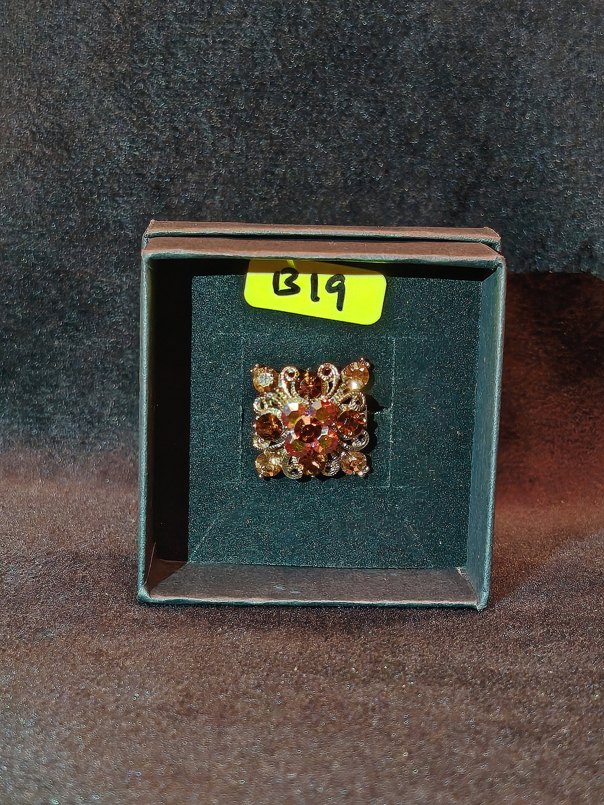 PIN B19_0