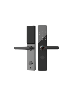 G1F-N9 Smart Door Lock