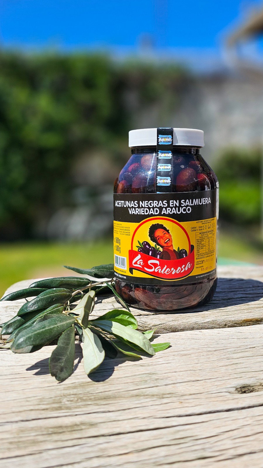ACEITUNAS NEGRAS 1KG_0