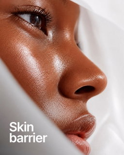 Skin Barrier & Hydration
