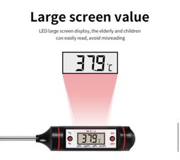 Digital Food Thermometer 