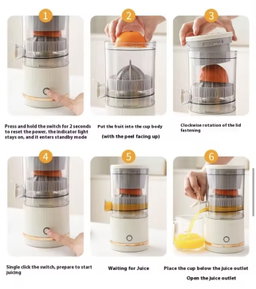 Electric Juicer
