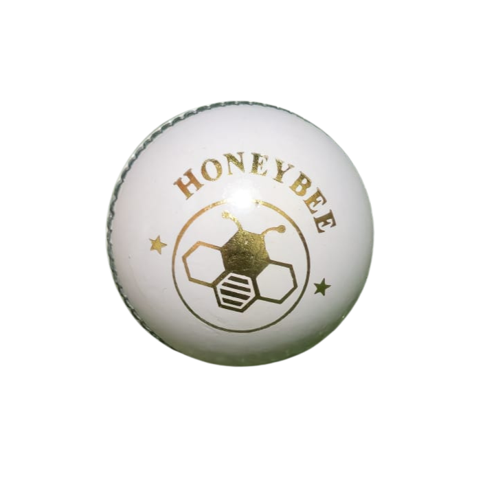 5.5oz Leather Ball - Machine Stitched_5