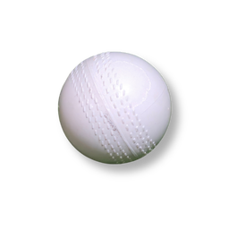 Training Ball