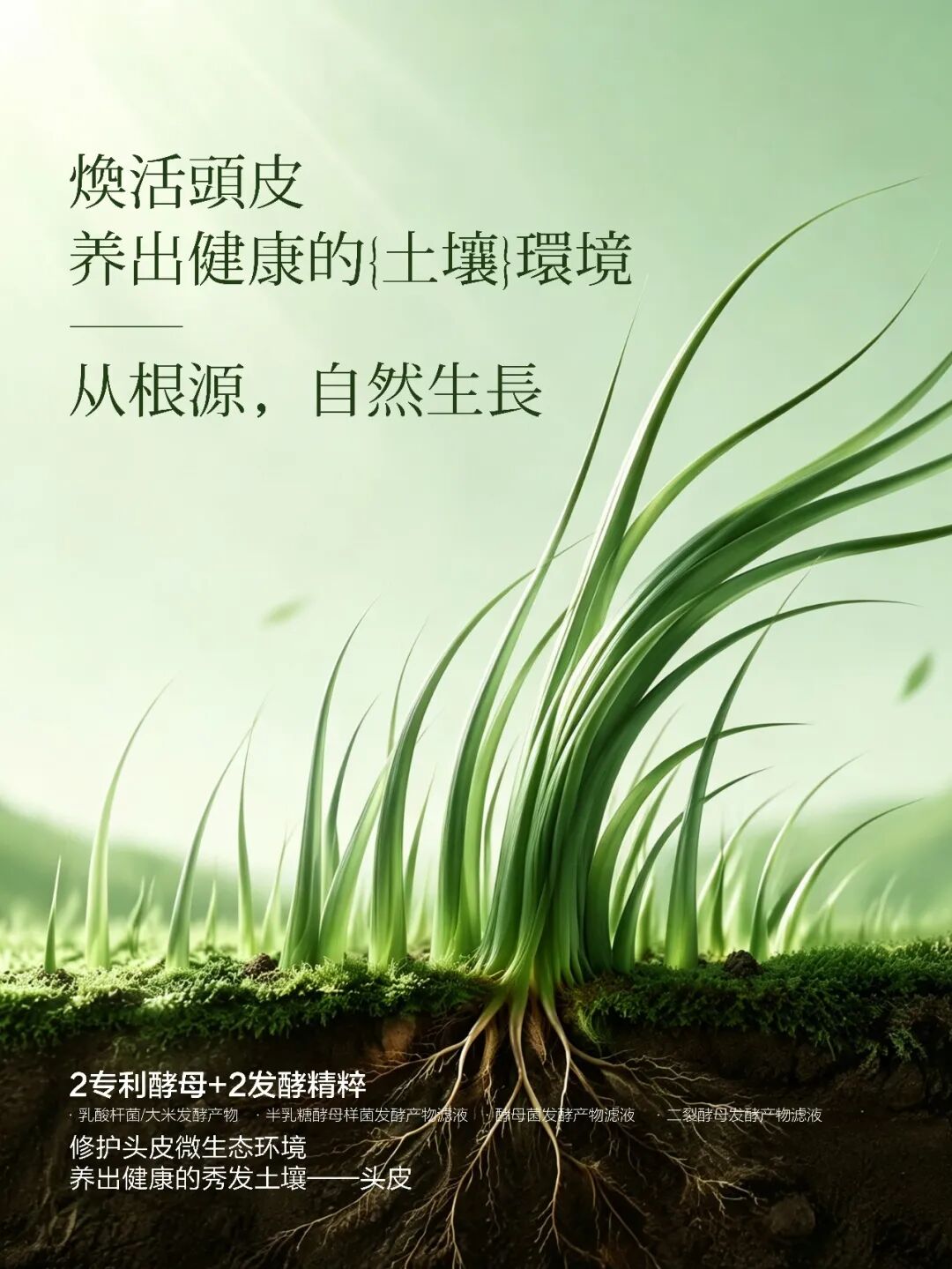 春添焕活盈润洗发露｜CHUNTIAN Revitalizing Moisture Shampoo 350ml_8