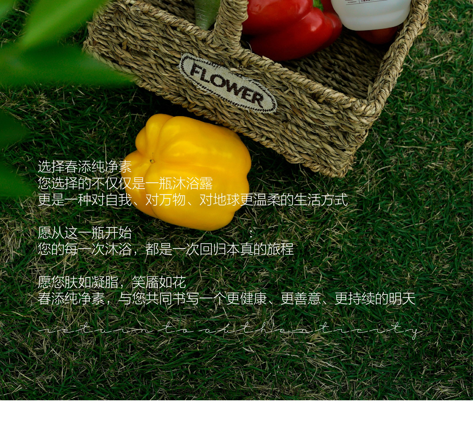 春添净澈盈润沐浴露｜CHUNTIAN Purifying Moisture Body Wash 350ml_5