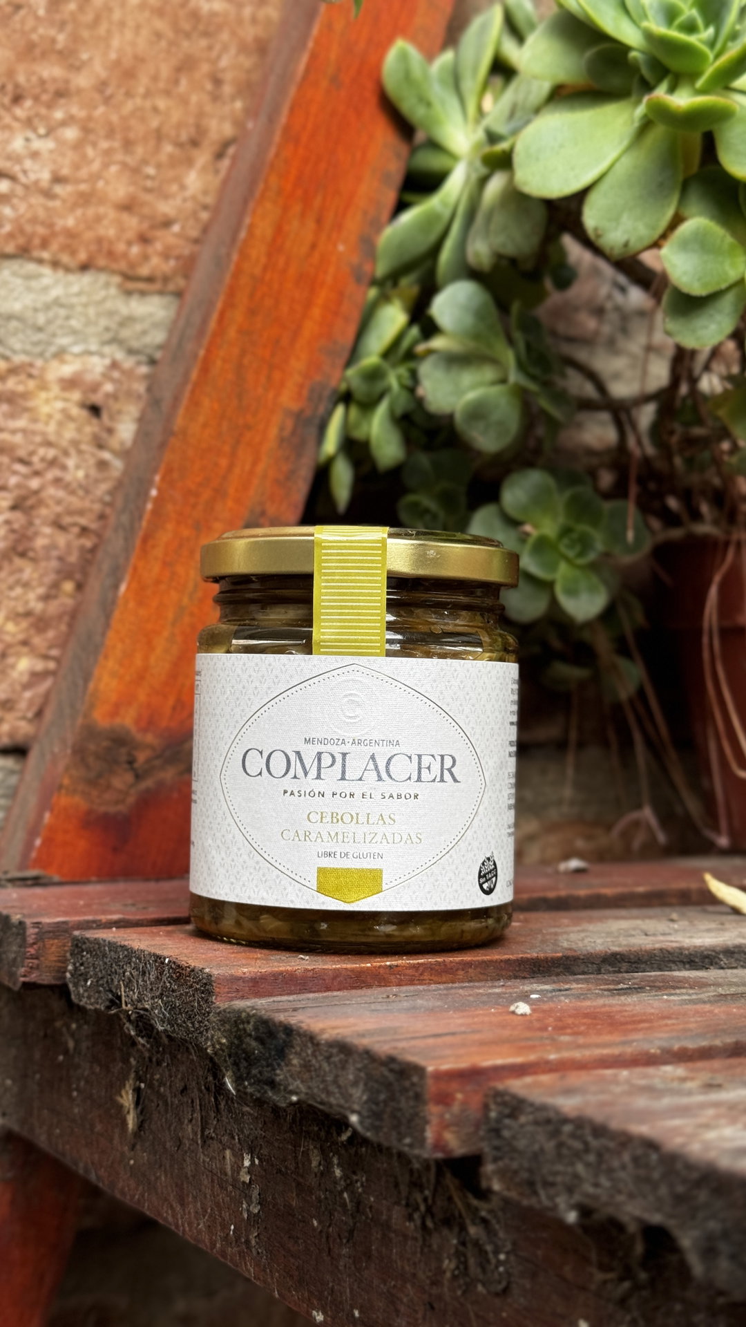 CEBOLLAS CARAMELIZADAS