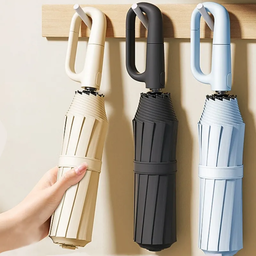 Umbrella Assorted