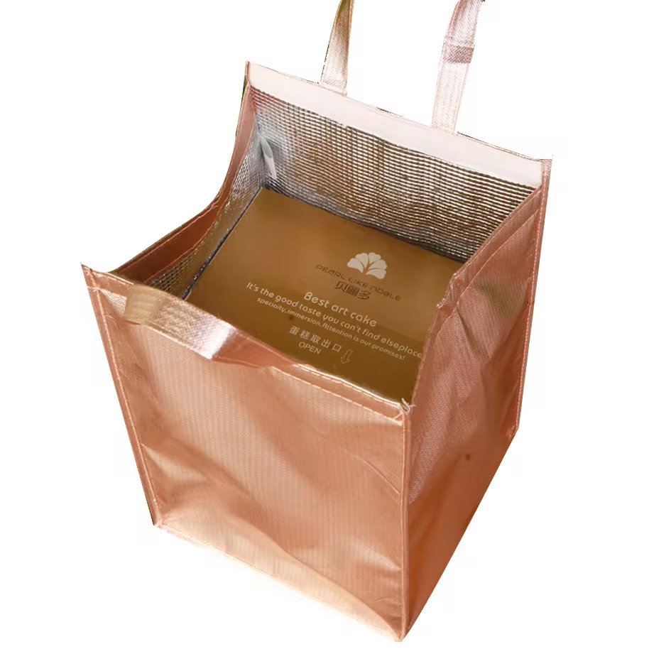 Cooler Bag_3