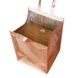 Cooler Bag