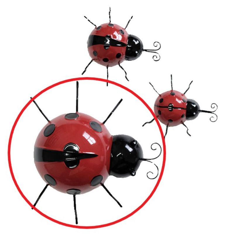 Ladybird Large
