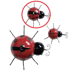Ladybird Medium