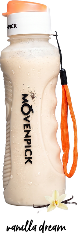 Vanilla Dream Milkshake