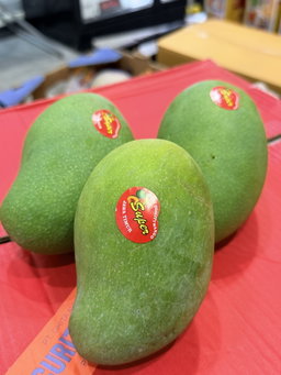 Indonesia Harumanis Mango 