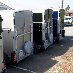 REMOLQUE PARA 2 CABALLOS IFOR WILLIAMS HB506 CONFORT