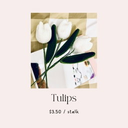 Tulips