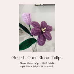 Tulips