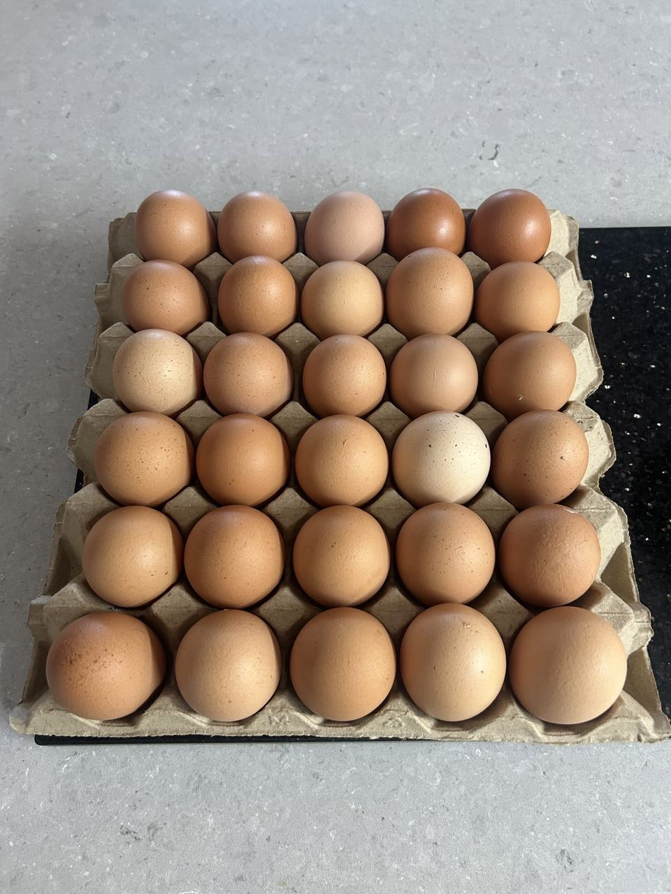 Medium Eggs