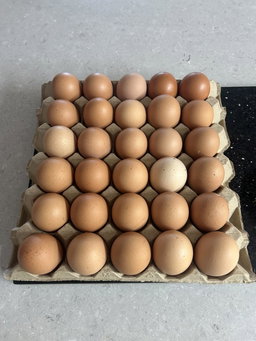 Medium Eggs