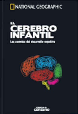07 El Cerebro Infantil 