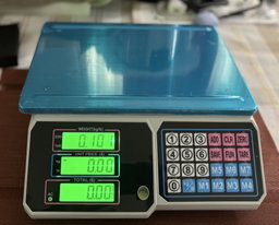 Digital Weighing Scale