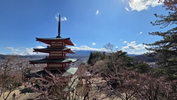 Tour Monte Fuji 