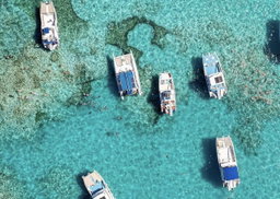 Punta Cana: Caribbean Party Boat Escape with Reef Snorkeling